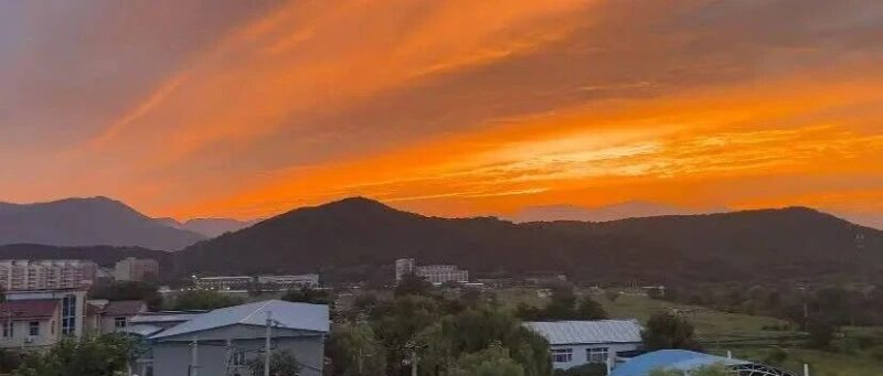 一个人在家做副业，一天收入343元，即使失业也不怕（建议打工人收藏）-聚林创库